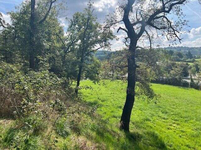 Terrain à bâtir de 860 m² à LA FOUILLOUSE (42) - photo 3