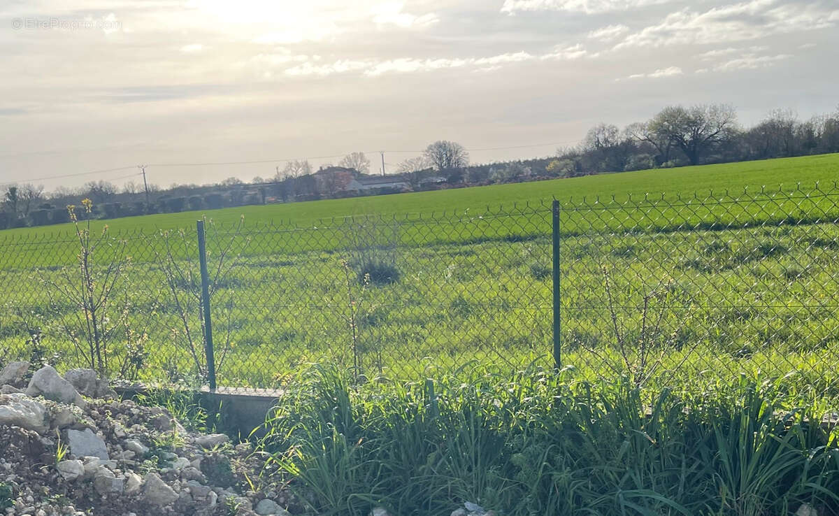 Terrain à SALLES-SUR-MER