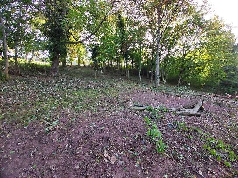 Terrain à BLIENSCHWILLER