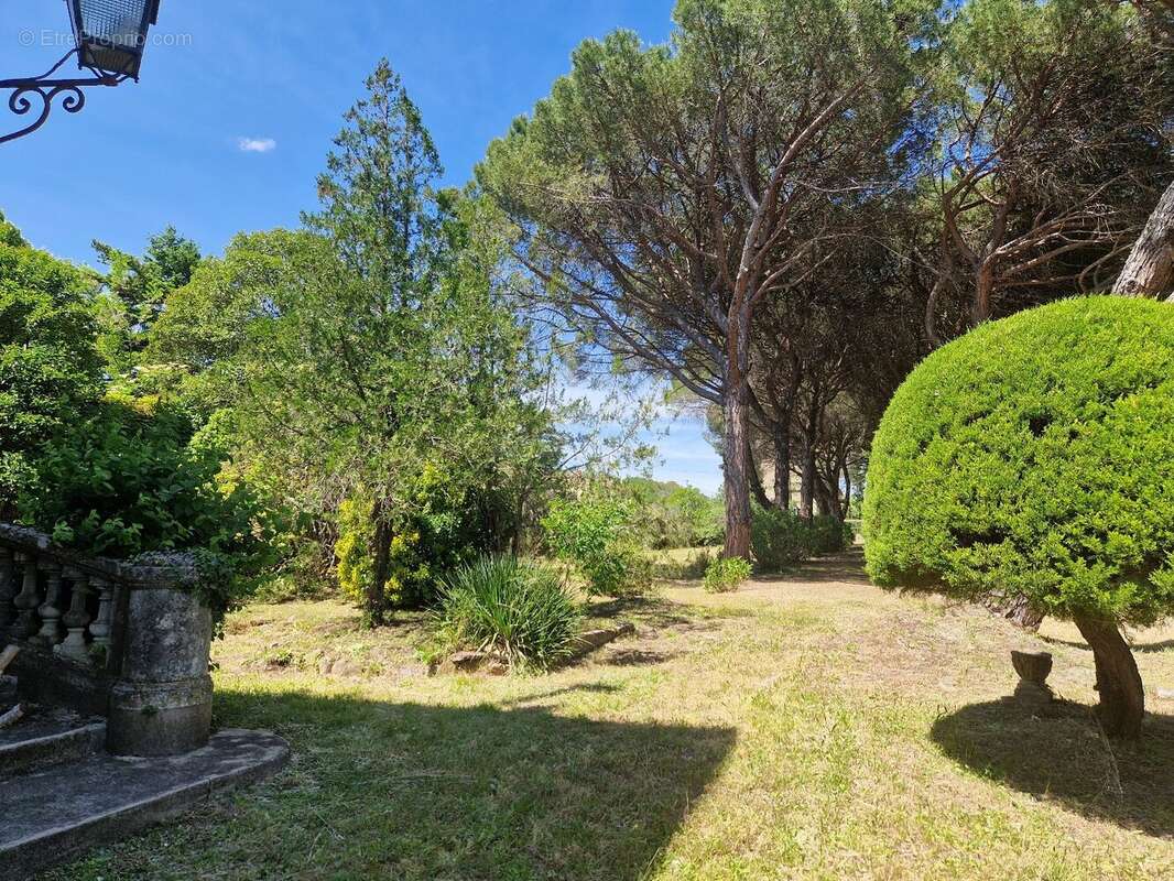 Maison à LE BOUSQUET-D'ORB