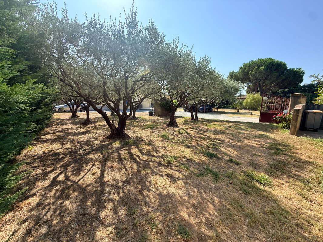 Frejus - terrain plat de 371m2 - proche commodites - photo 2