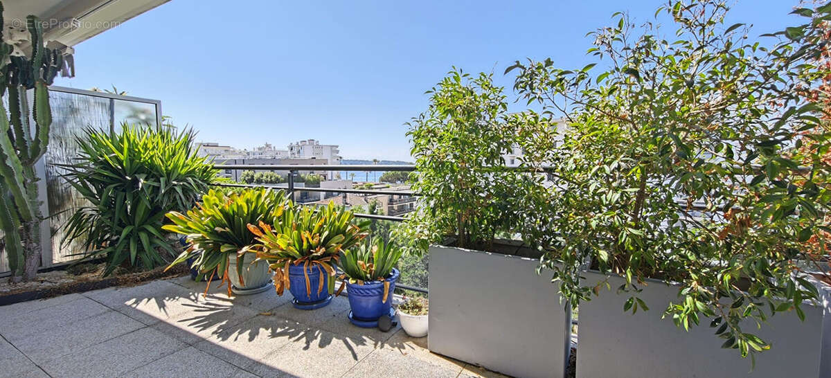 Toit terrasse Juan-les-Pins 4 pièces 78.16 m2 - photo 15