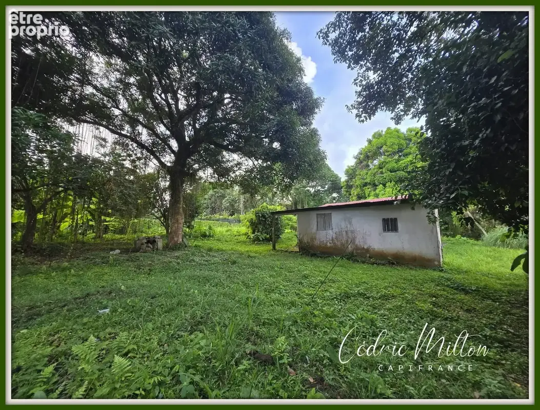 Terrain plat de 1300 m² – au Gros-Morne - photo 8