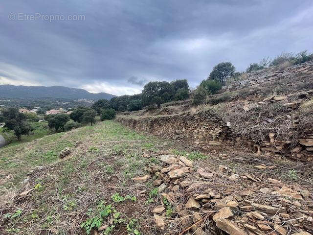 Terrain à BASTIA