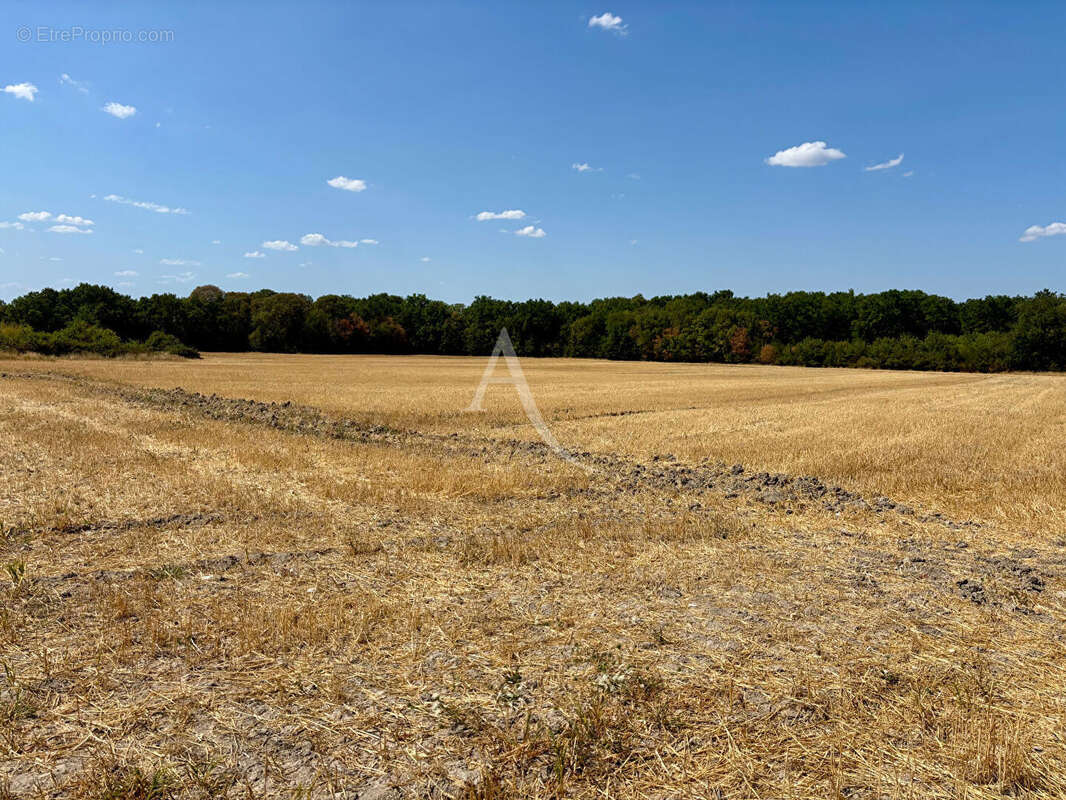 Terrain Chemery 15517 m2 - photo 2
