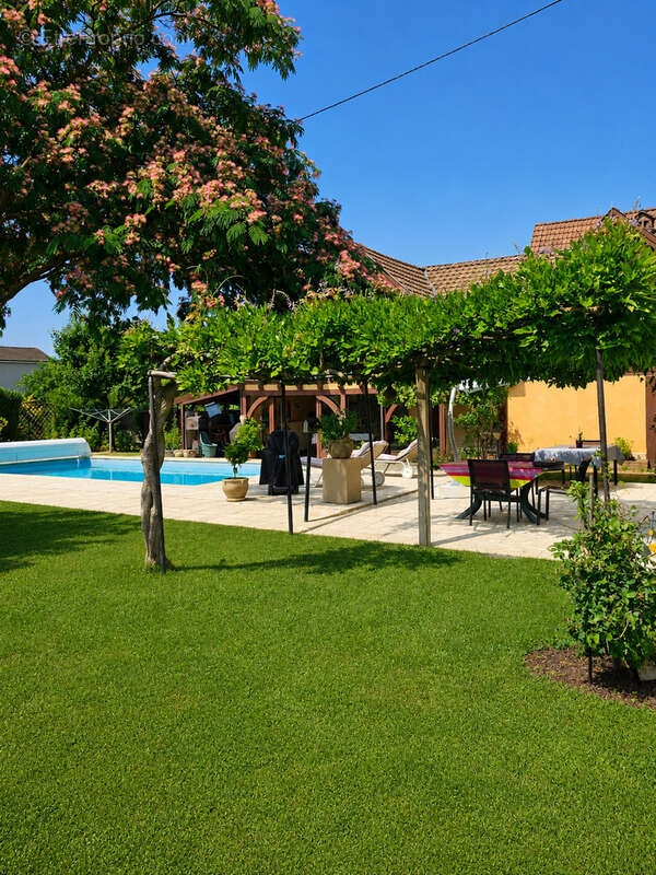 Maison à SAUSHEIM