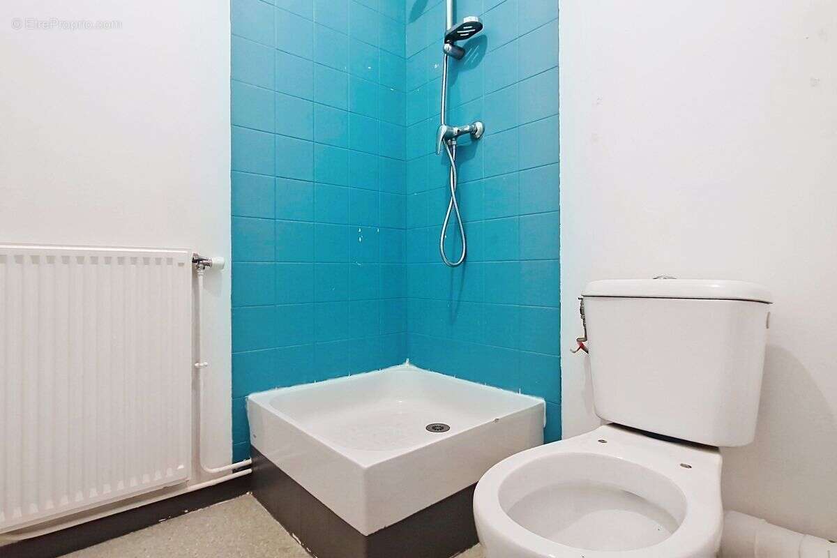 Maison T5 St Forgeux - photo 9