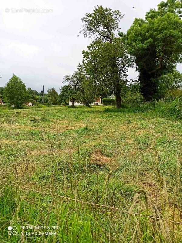 Terrain à SENINGHEM