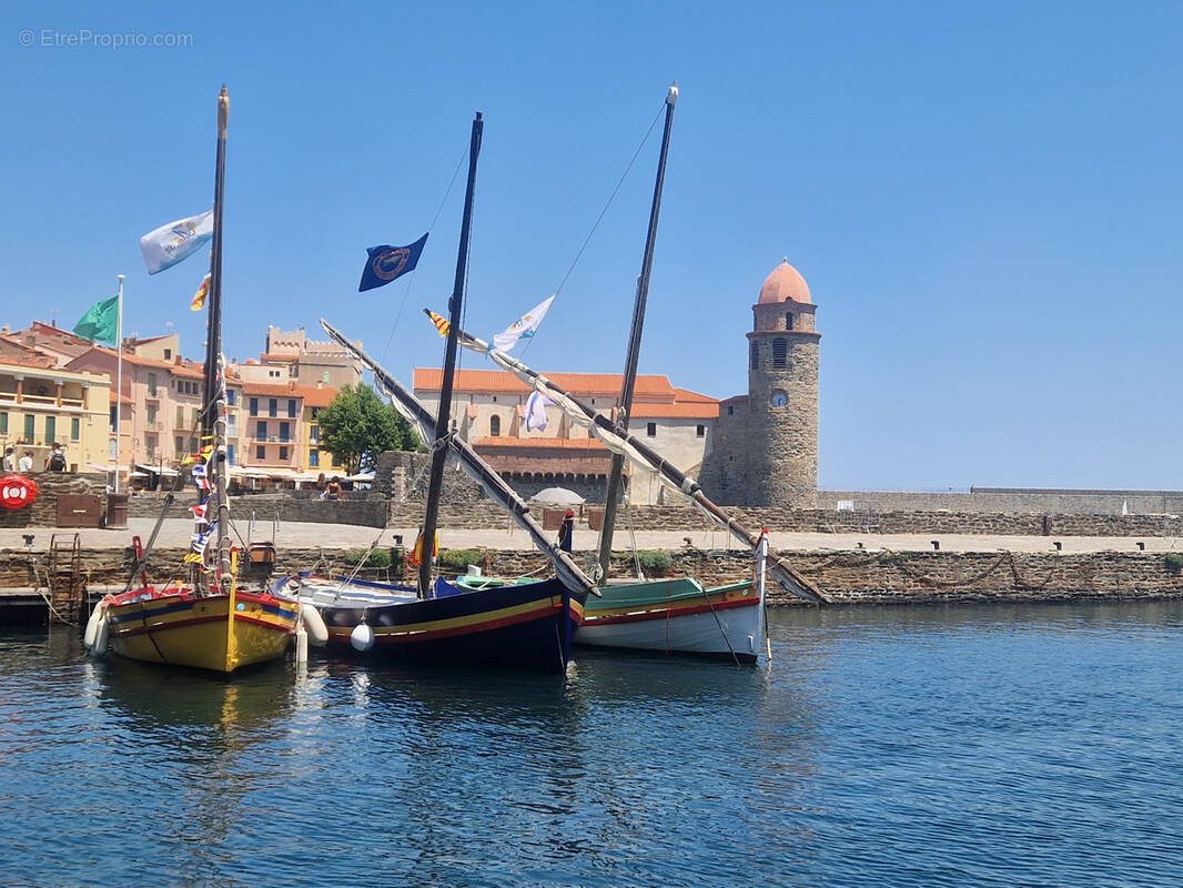 Commerce à COLLIOURE