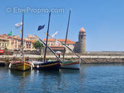 Commerce à COLLIOURE
