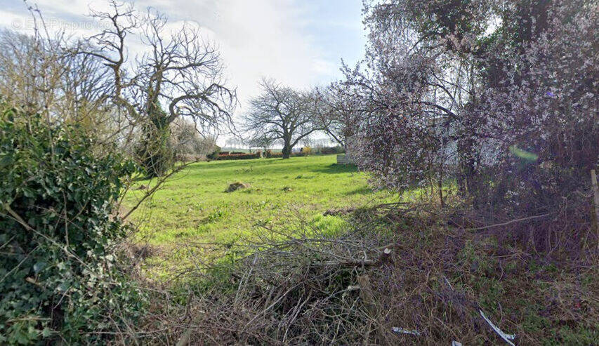 Terrain à ROZAY-EN-BRIE