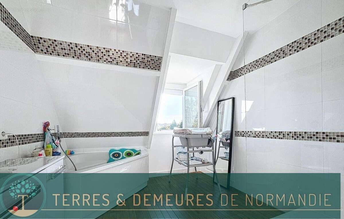 Maison à BONNEVILLE-LA-LOUVET