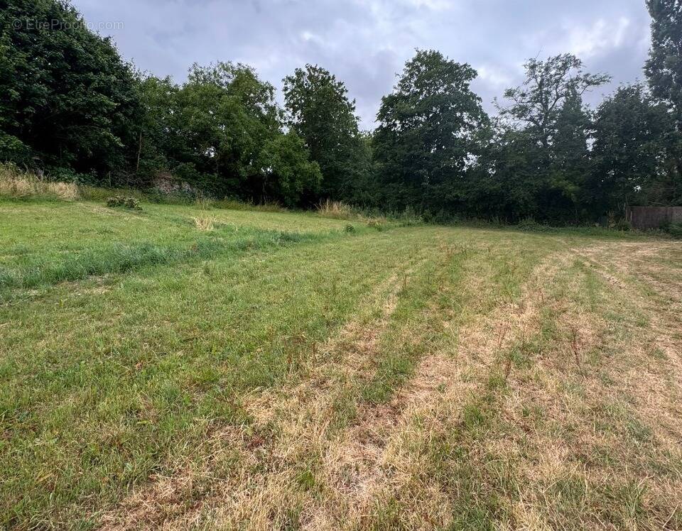 Terrain à SAINT-LUBIN-DE-LA-HAYE