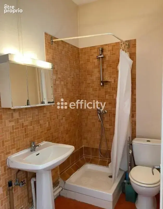 Appartement ancien - photo 14