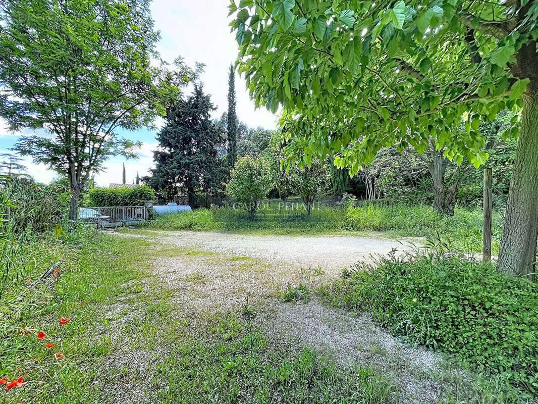 Terrain à BEAUMES-DE-VENISE