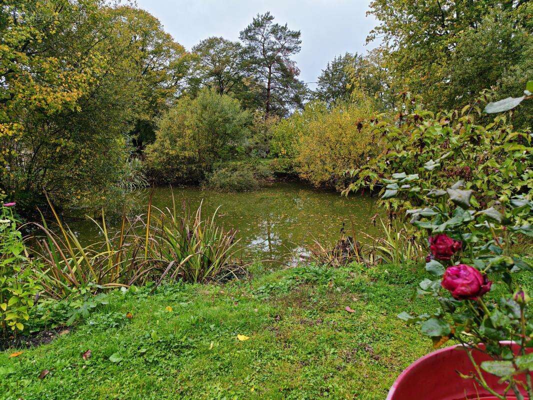 Maison à SAINT-MARTIN-D&#039;AUXIGNY