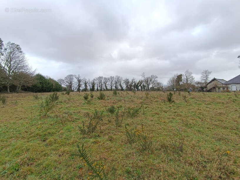 Terrain à PLOUGUERNEVEL