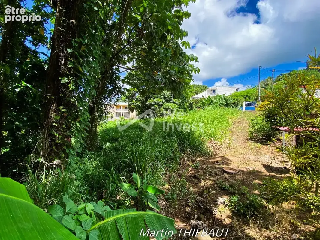 Terrain 631 m² à vendre à Le Lamentin (97232) - photo 3