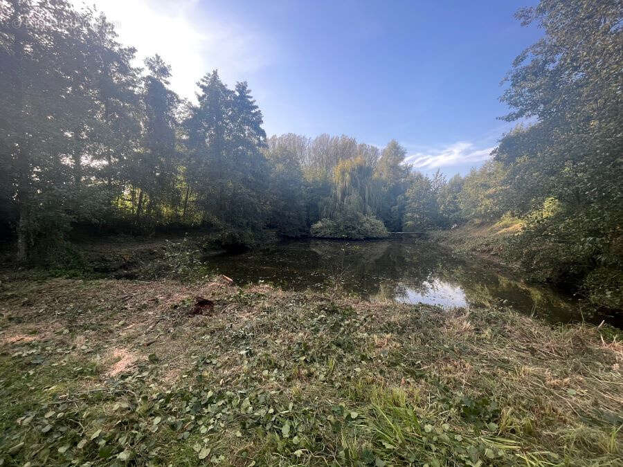 Terrain à SAINT-AMAND-LES-EAUX
