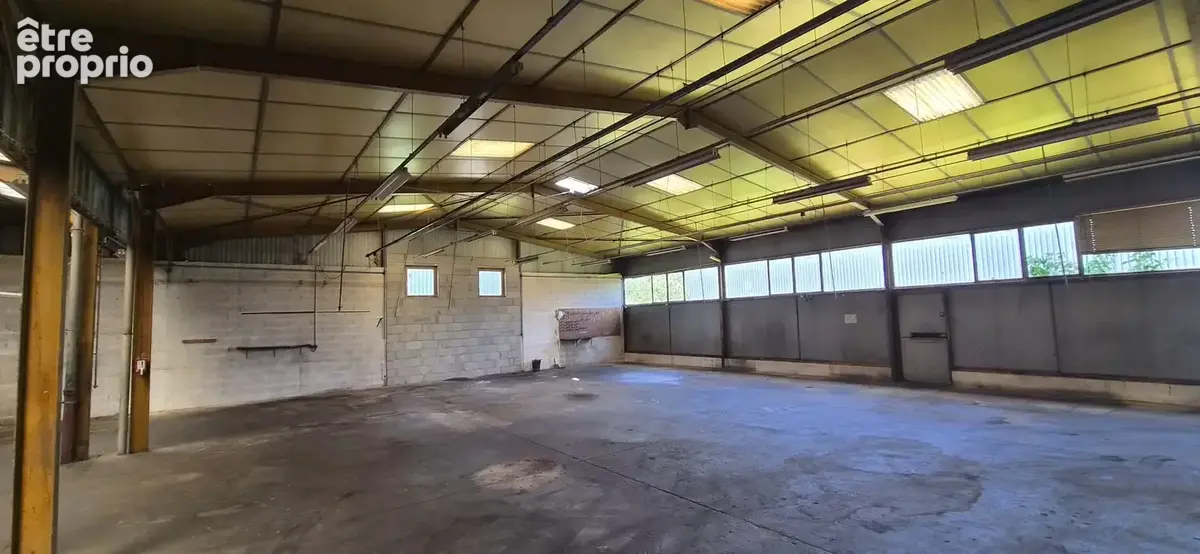 Commerce 650 m² à vendre à Arnas (69400) - photo 4