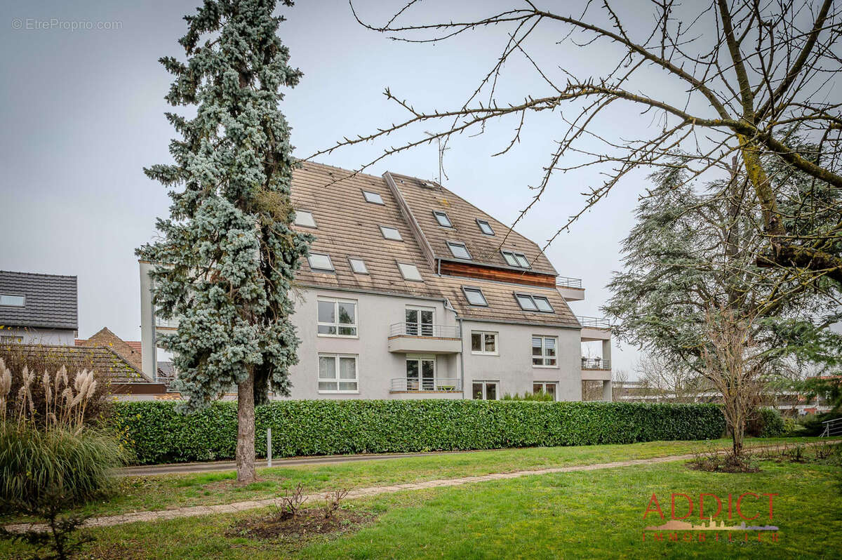 Appartement à NIEDERHAUSBERGEN