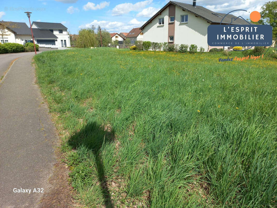 Terrain à GUESSLING-HEMERING