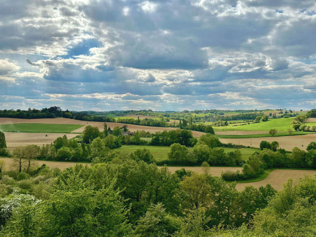 à vendre côté Vic Fezensac propriété sur 14 ha - Maison à VIC-FEZENSAC