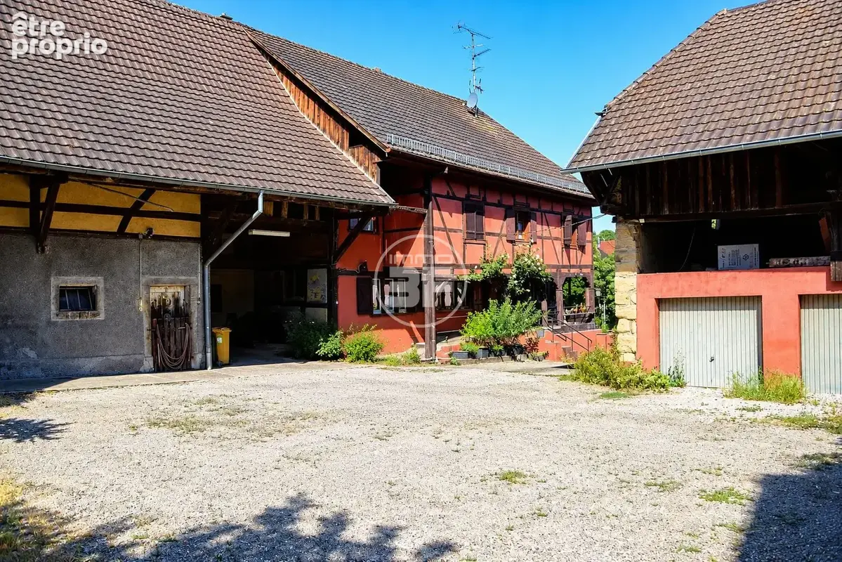 Maison 8 pièces 212 m² à vendre à Hegenheim (68220) - photo 4