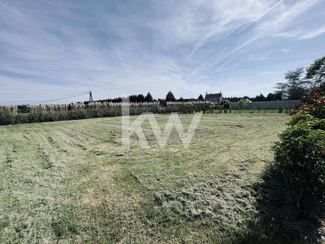 Terrain à FONTAINES-EN-SOLOGNE