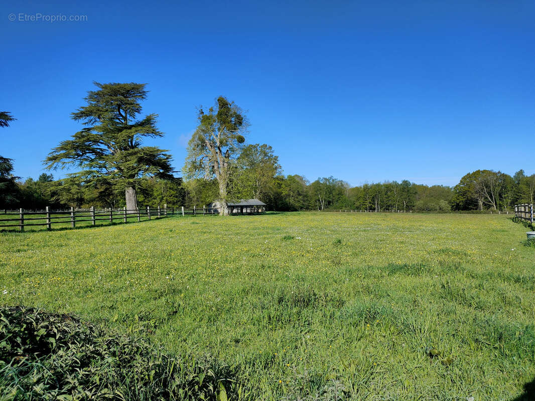 Propriété équestre avec 13 hectares - photo 30