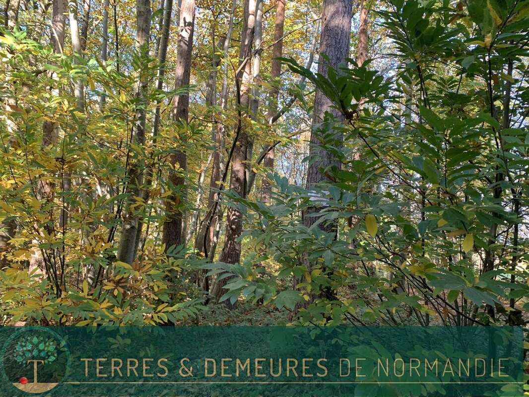 Terrain à BEUZEVILLE