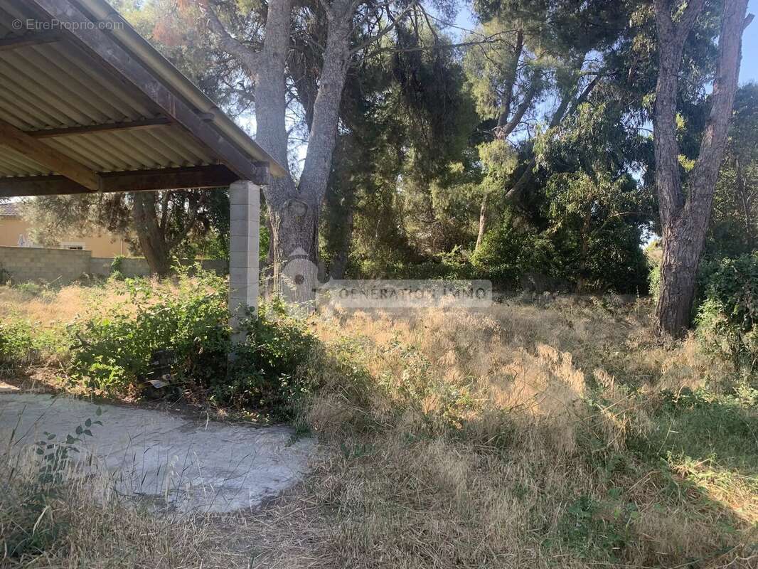 HANGAR à vendre sur Arles - photo 4