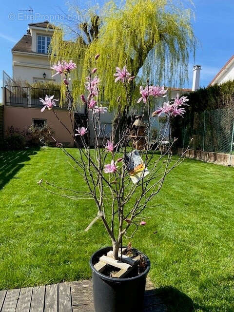 Maison à ARGENTEUIL