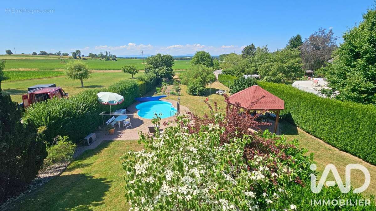 Maison 186 m² à Zaessingue  - photo 6