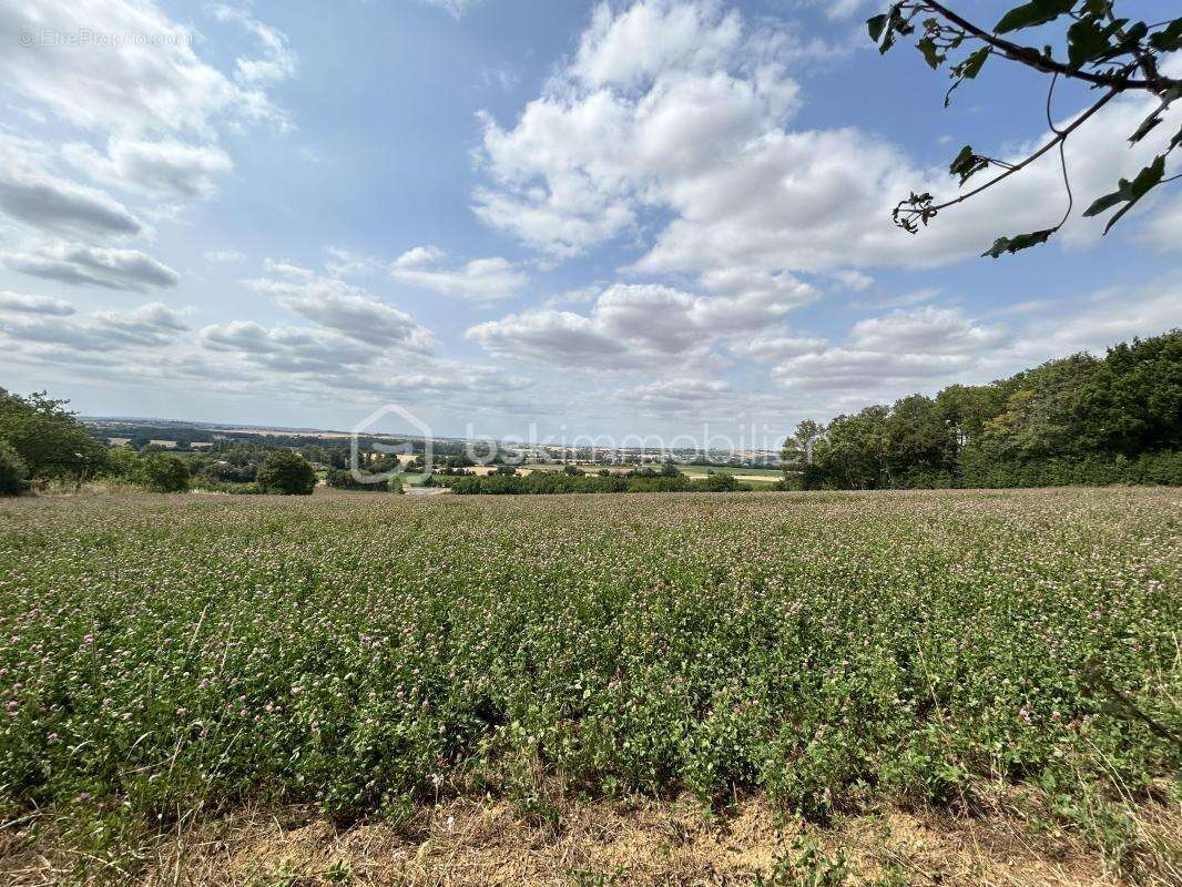 Terrain à BRAINS-SUR-GEE