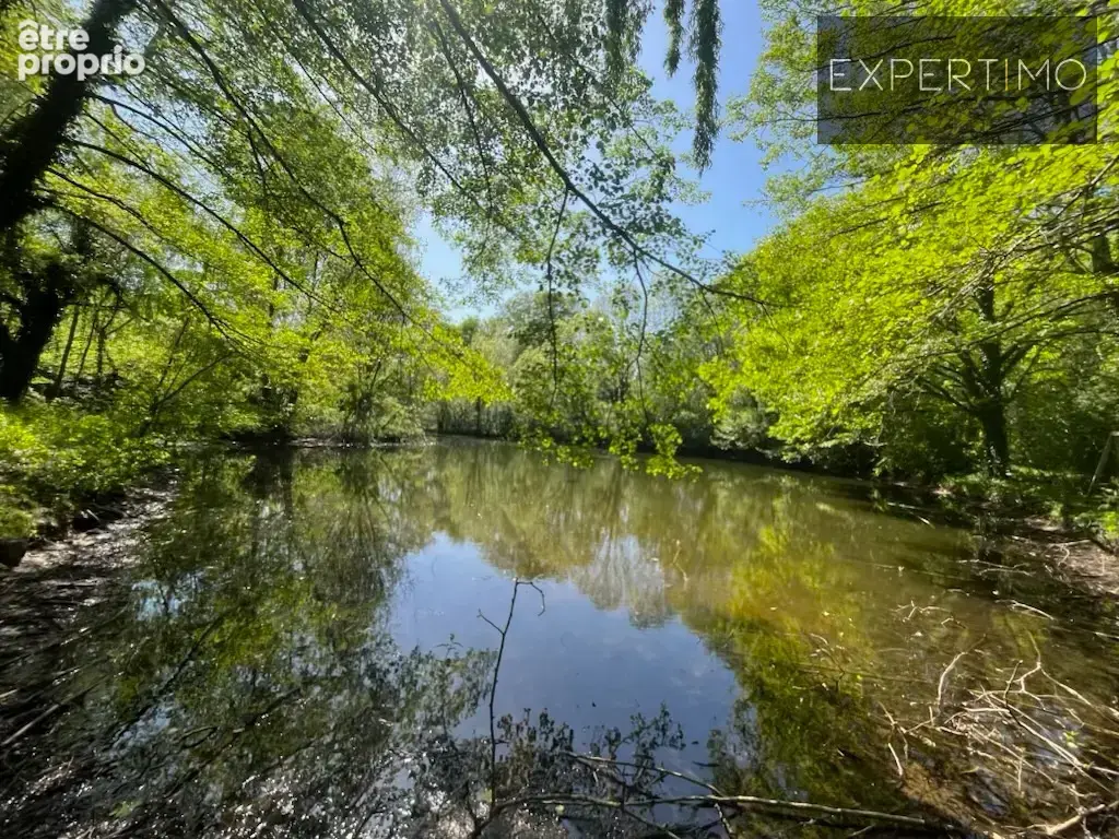 Terre-clapier (tarn)  à 12 min d'albi  moulin historique  gîtes  lac  piscine couverte  potentiel touri - photo 34