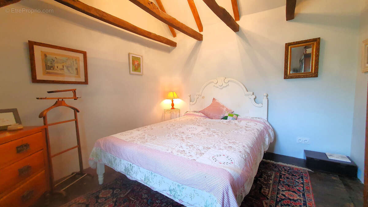 Grande propriété avec gîte spacieux, au calme - photo 9