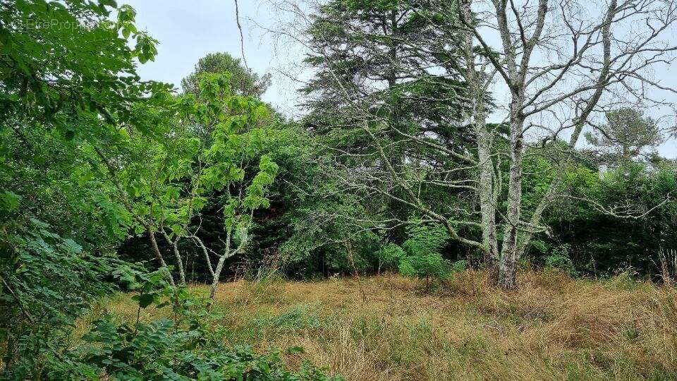 Terrain à BORDEAUX