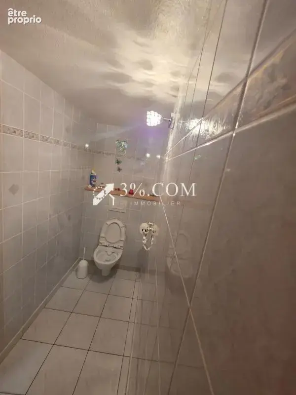 Spacieuse Maison Familiale de 340 m2 à Damelevieres (54360) - photo 18