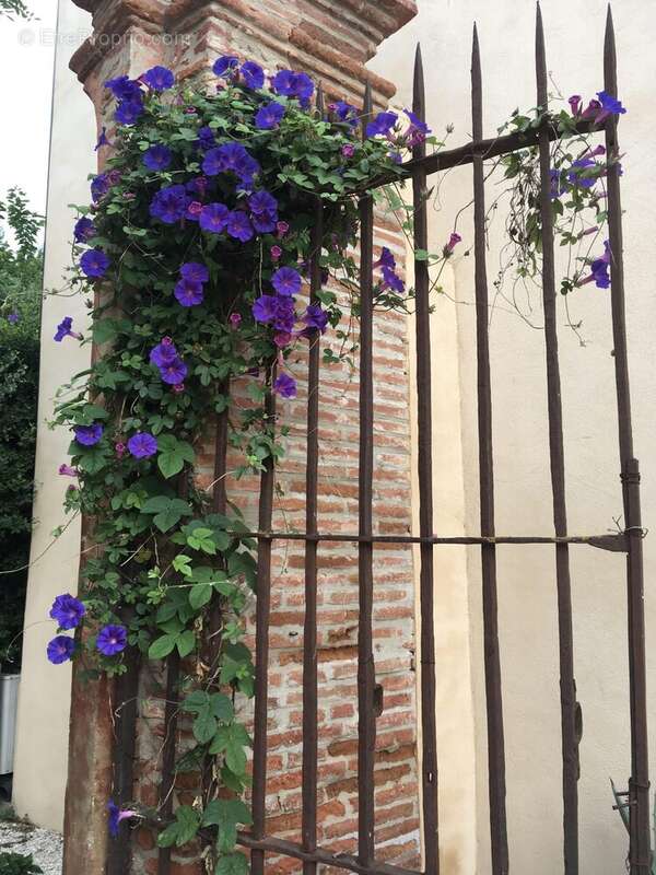 Appartement à CANET-EN-ROUSSILLON