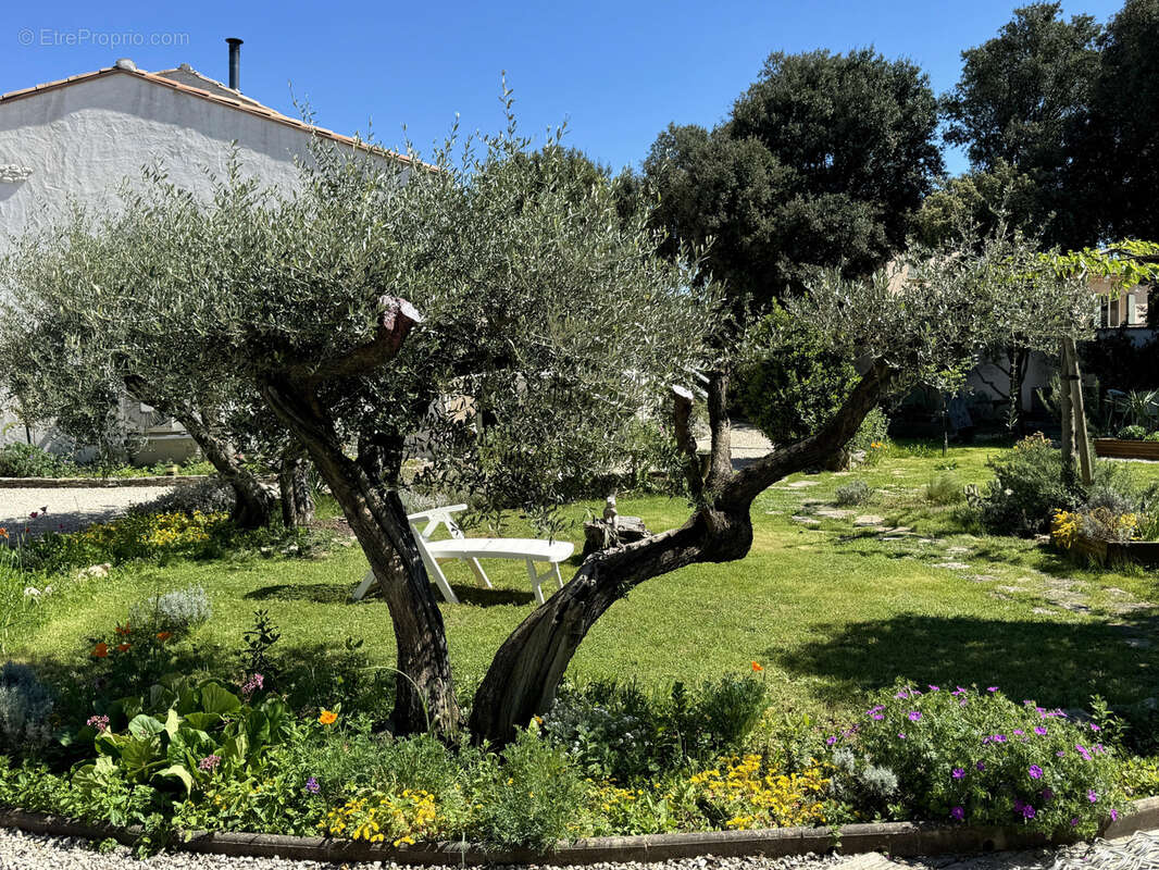 Maison à POULX
