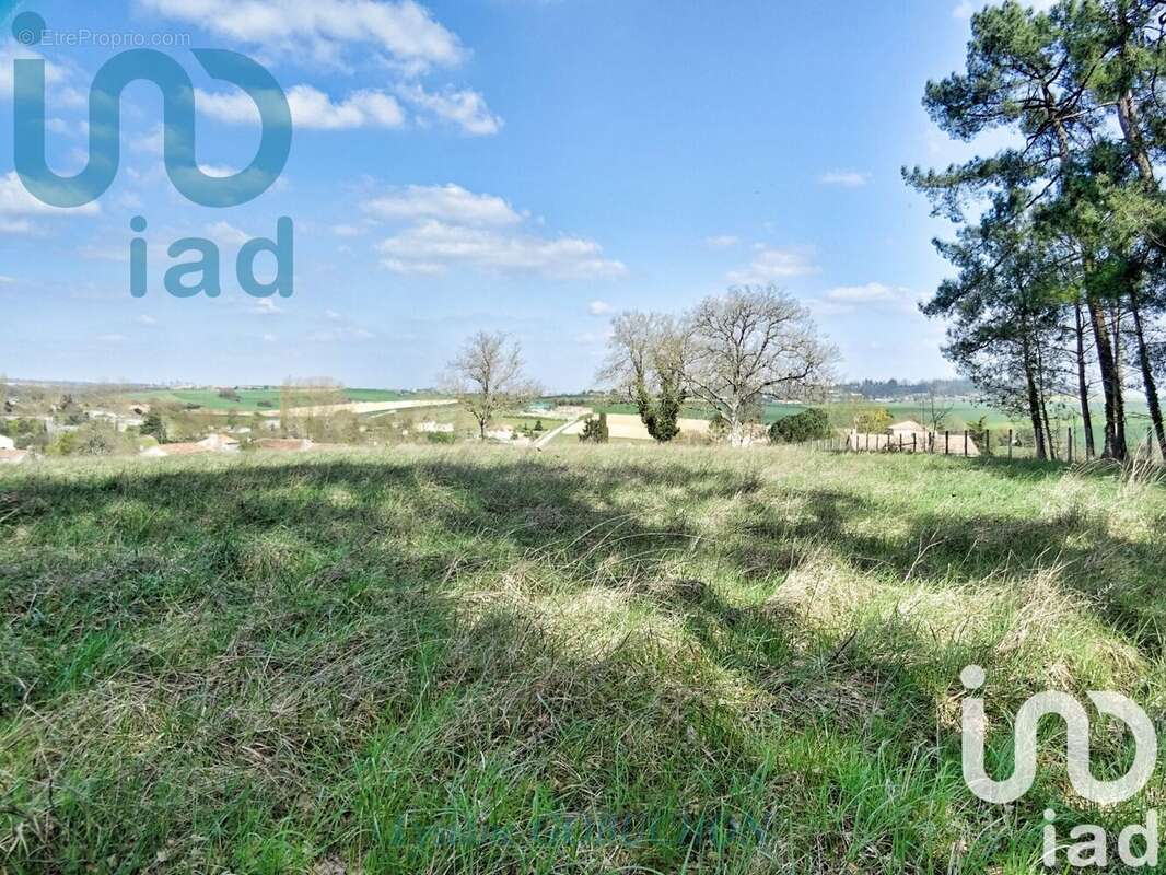 Photo 3 - Terrain à RONSENAC