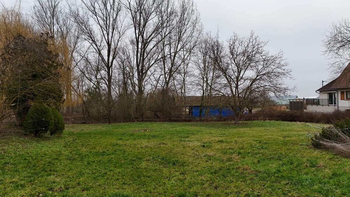 Terrain à WASSELONNE