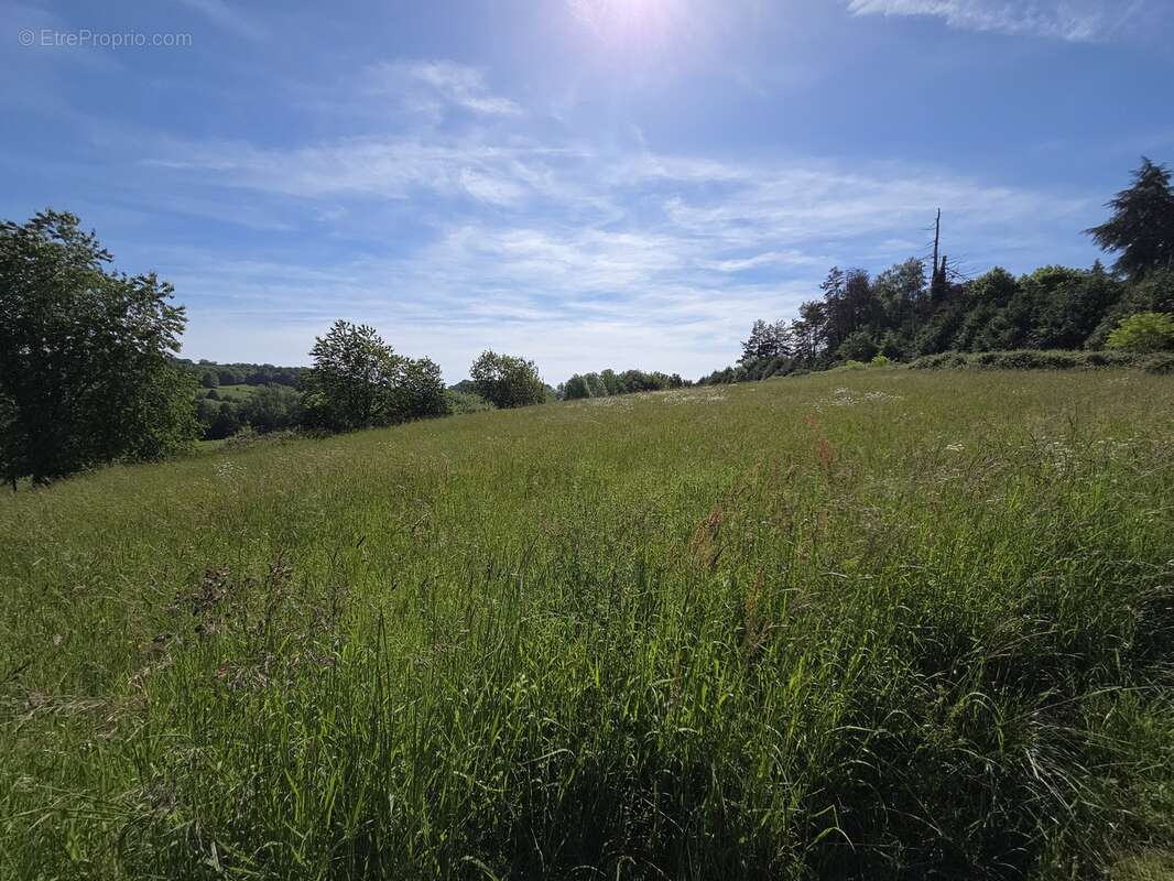 Appartement à BENEVENT-L'ABBAYE