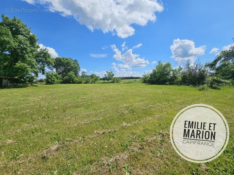 Terrain à SAINT-GEORGES-DU-BOIS