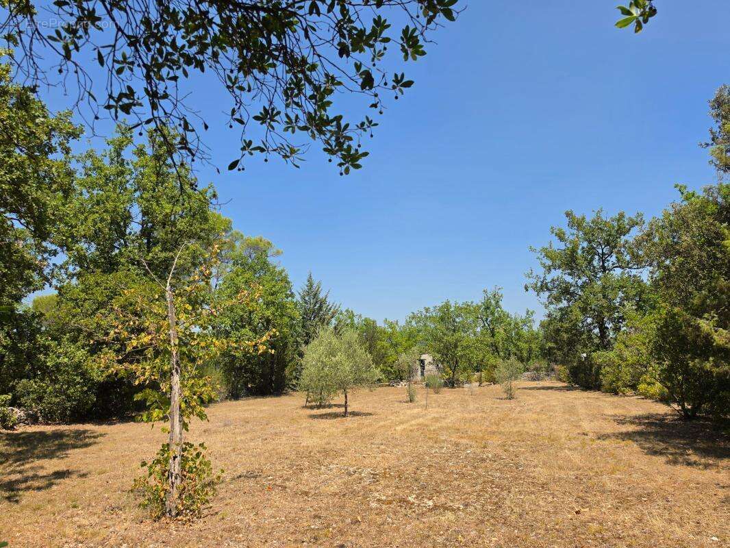 Maison provençale avec jardin et garages à vendre à brignoles - photo 10