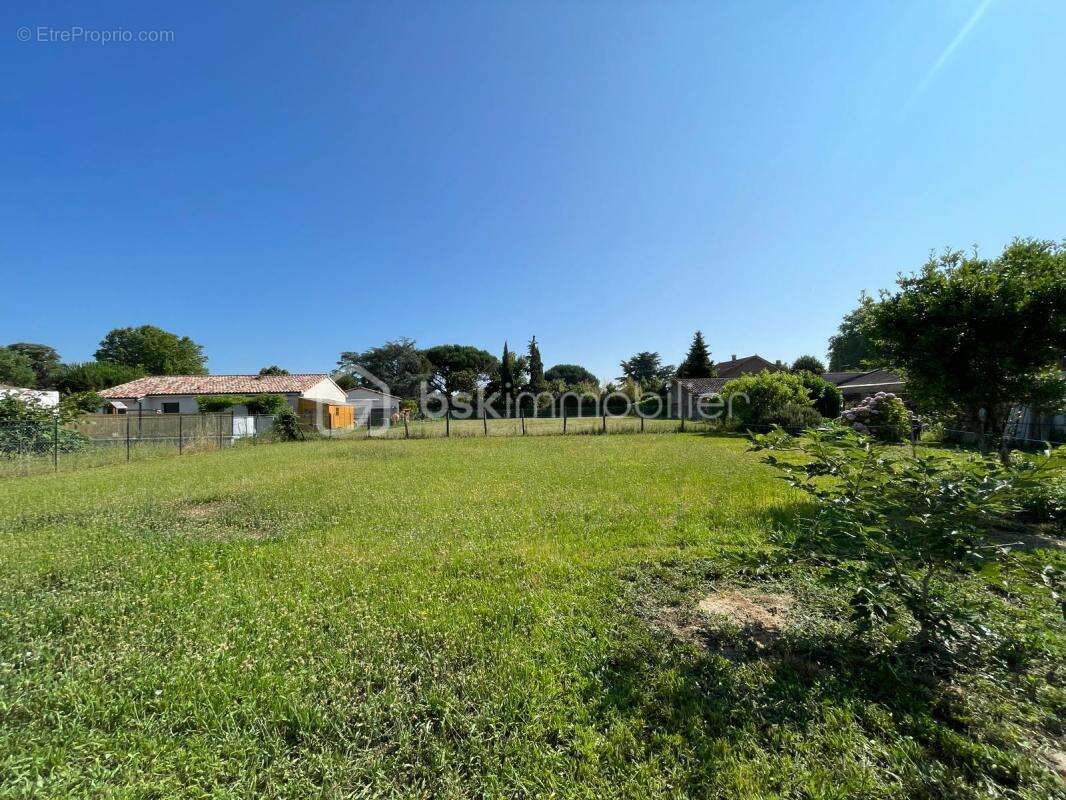 Terrain à COUFOULEUX