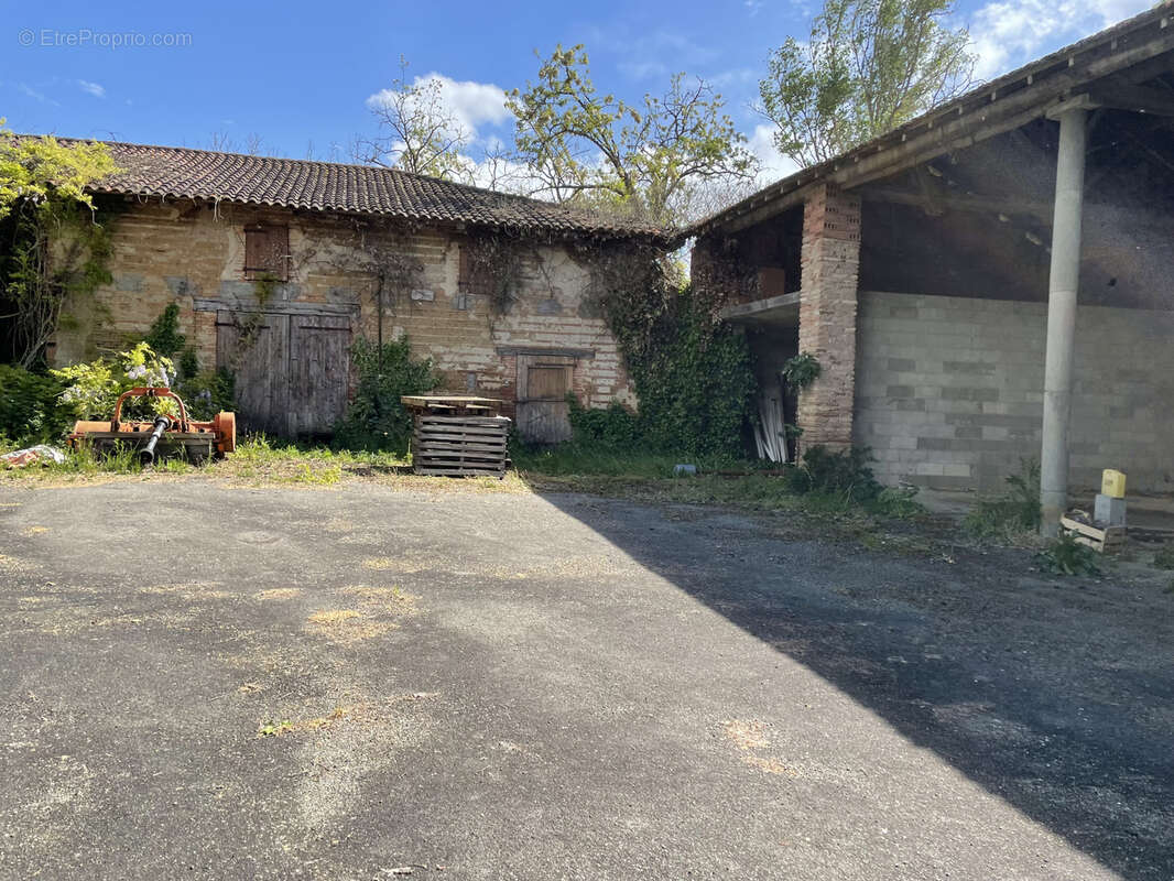 Ferme Toulousaine à Rénover avec Potentiel Exceptionnel à Lafrançaise - photo 15