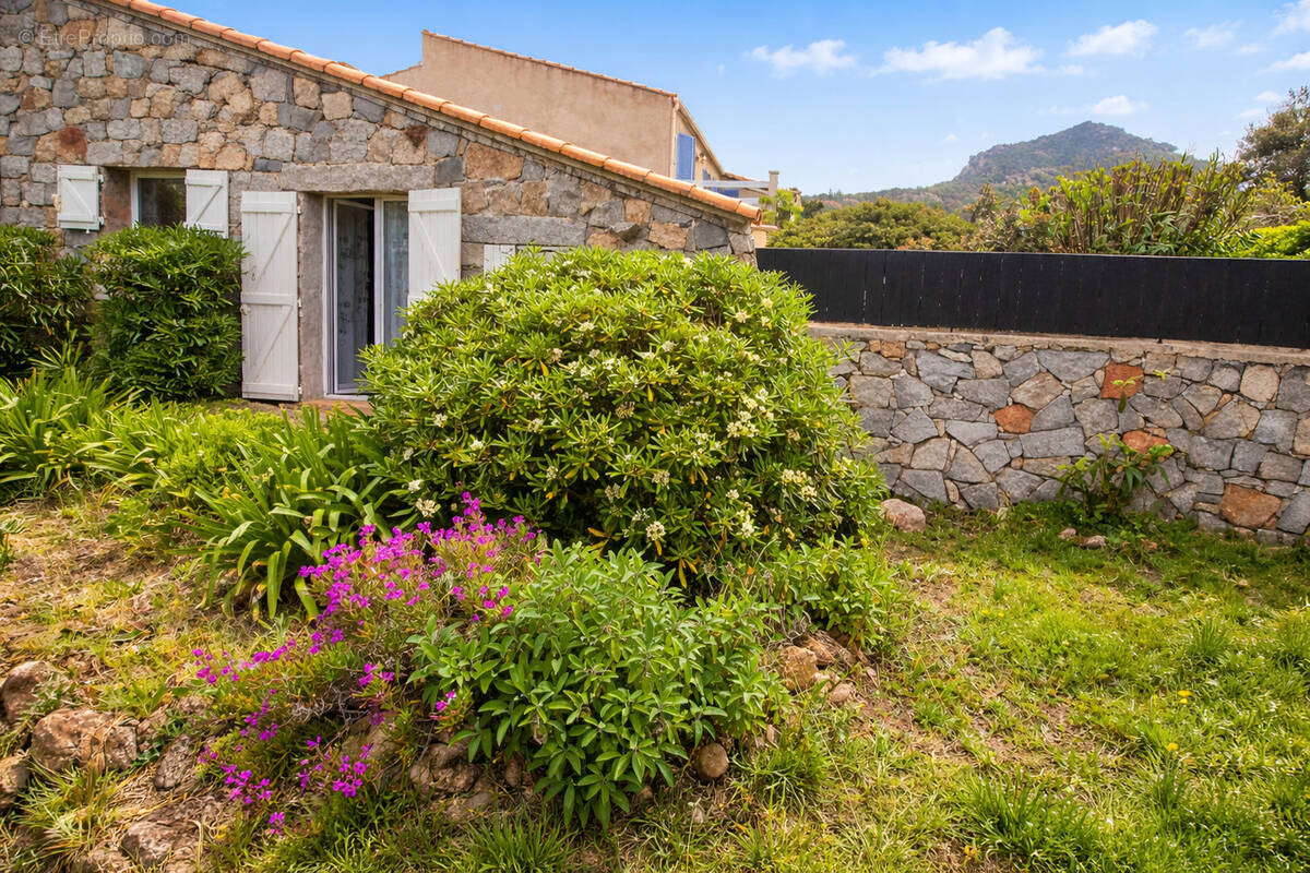 Appartement à OLMETO