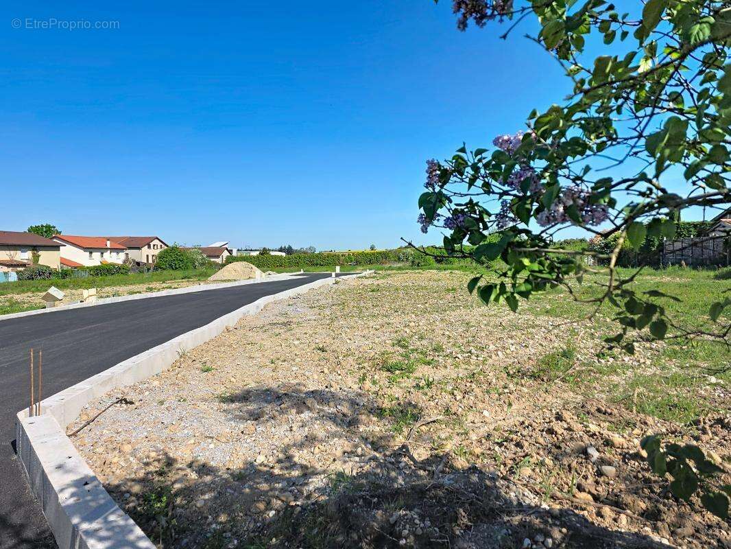 Terrain - Viabilisé - 700m² - photo 4
